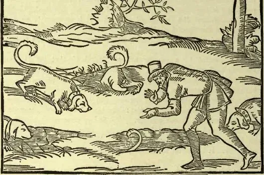 Basset Hound history, a woodcut of short-legged hounds and a huntsman, France, 1560s