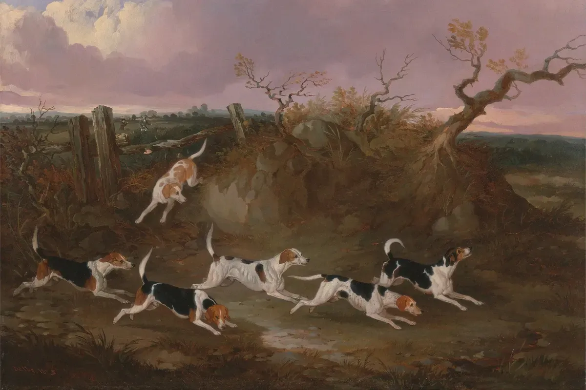 Beagle history, Beagles in Full Cry, a pack of small hounds running across open country, John Dalby, 1845