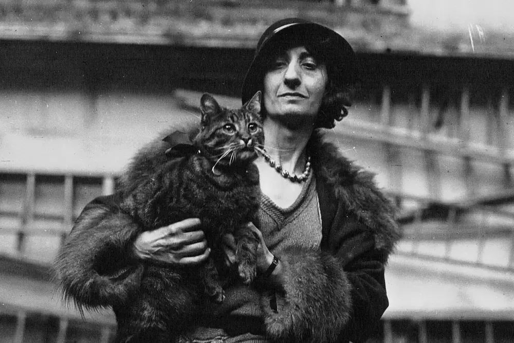 Birman history, a tabby cat held by its owner at the cat show at the Salle Wagram, Paris, 1932