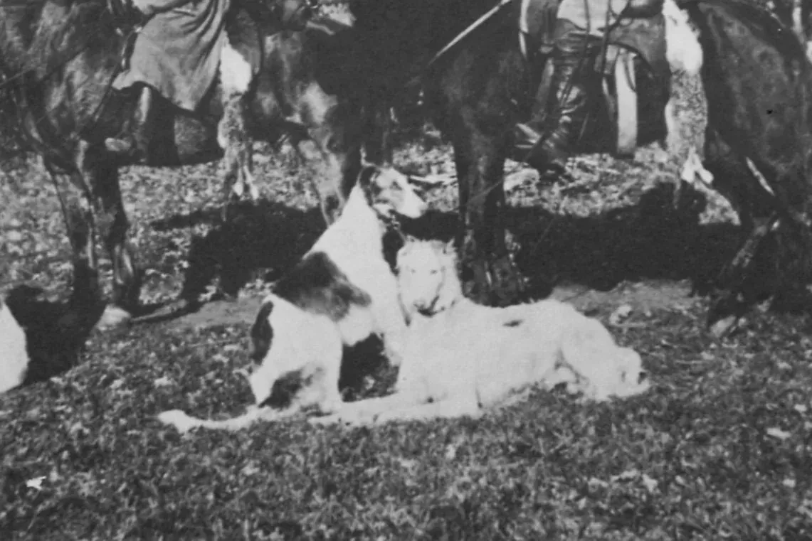 Borzoi history, two hounds resting at the feet of the huntsmen's horses by a wood, Penza, Russia, date not recorded