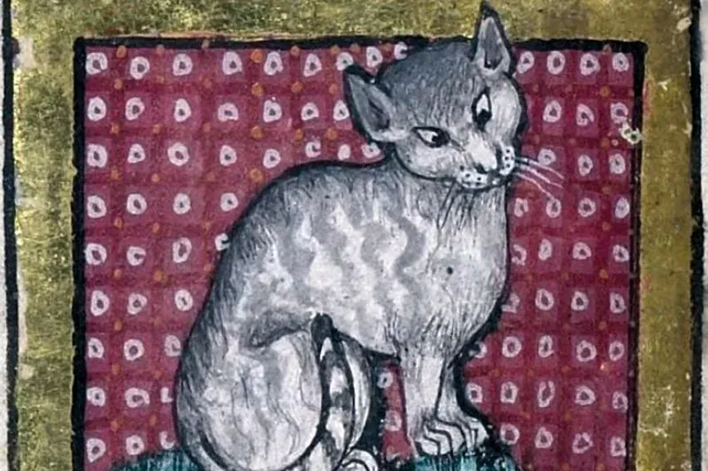 British Longhair history, a grey cat in the Peterborough Bestiary, England, about 1300