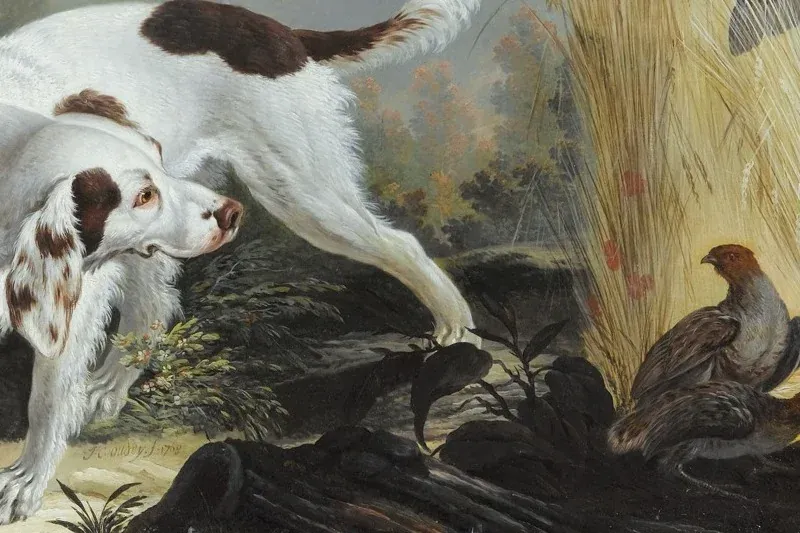Brittany Spaniel history, a white and liver French spaniel on point before two partridges, painting, France, 1768