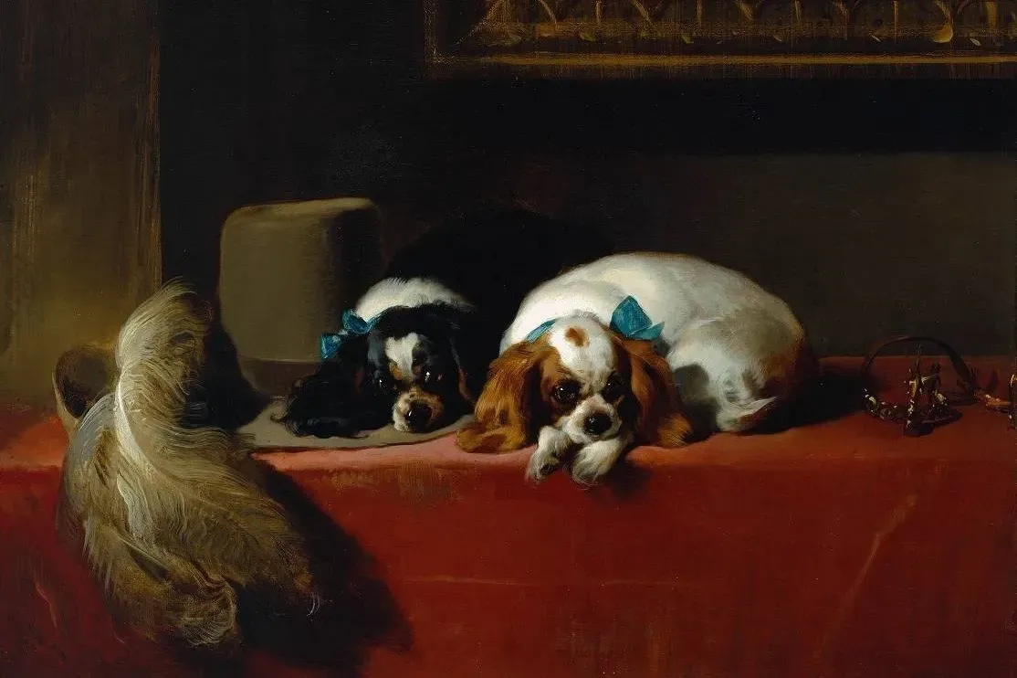 Cavalier King Charles Spaniel history, two toy spaniels on a red cloth, Edwin Landseer, 1845