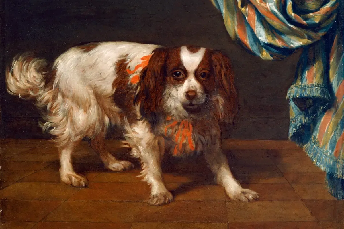 Cavalier King Charles Spaniel history, a toy spaniel with the older, longer nose, painted in 1665