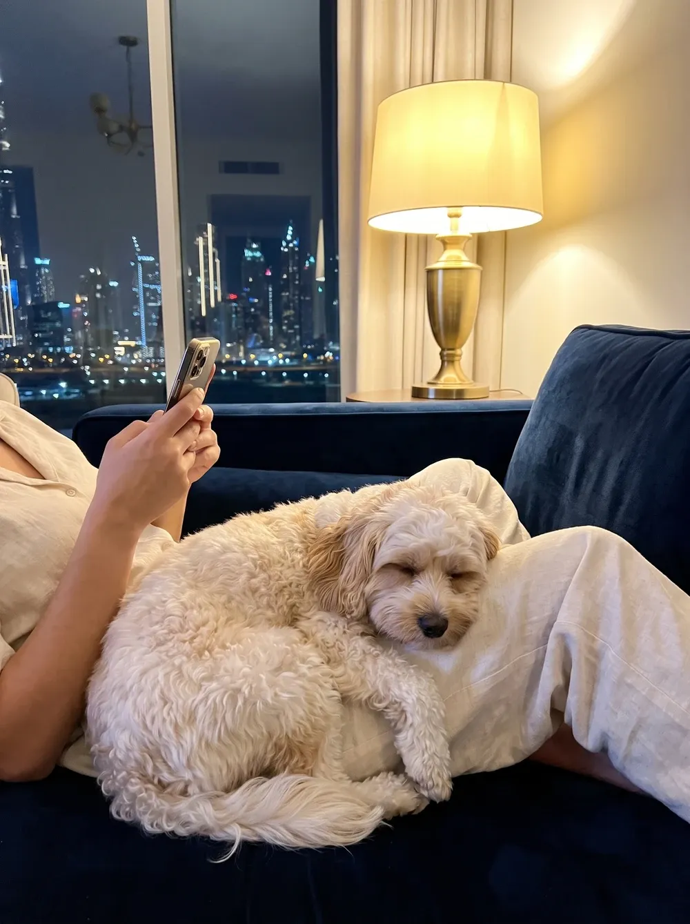 Cavapoo in Dubai, a cream adult asleep against a pet parent on the sofa at night, the skyline behind