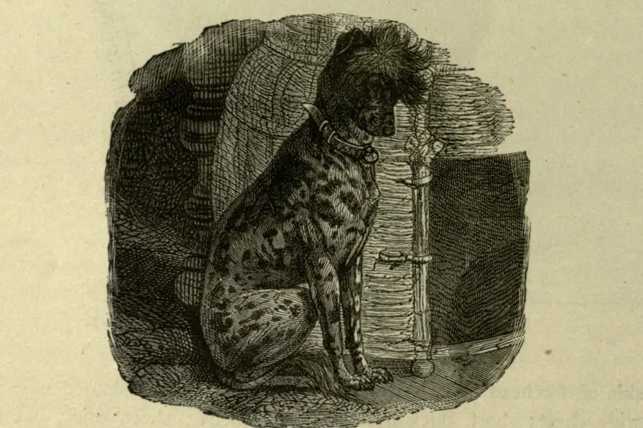 Chinese Crested history, a spotted hairless dog with a crest sitting by a post, an engraving, Britain, 1881