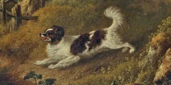 Cockapoo history, a painting of a spaniel flushing a woodcock in woodland, 1824