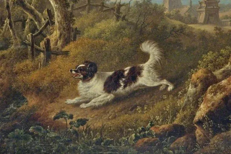 Cocker Spaniel history, a painting of a small spaniel flushing a woodcock in woodland, 1824