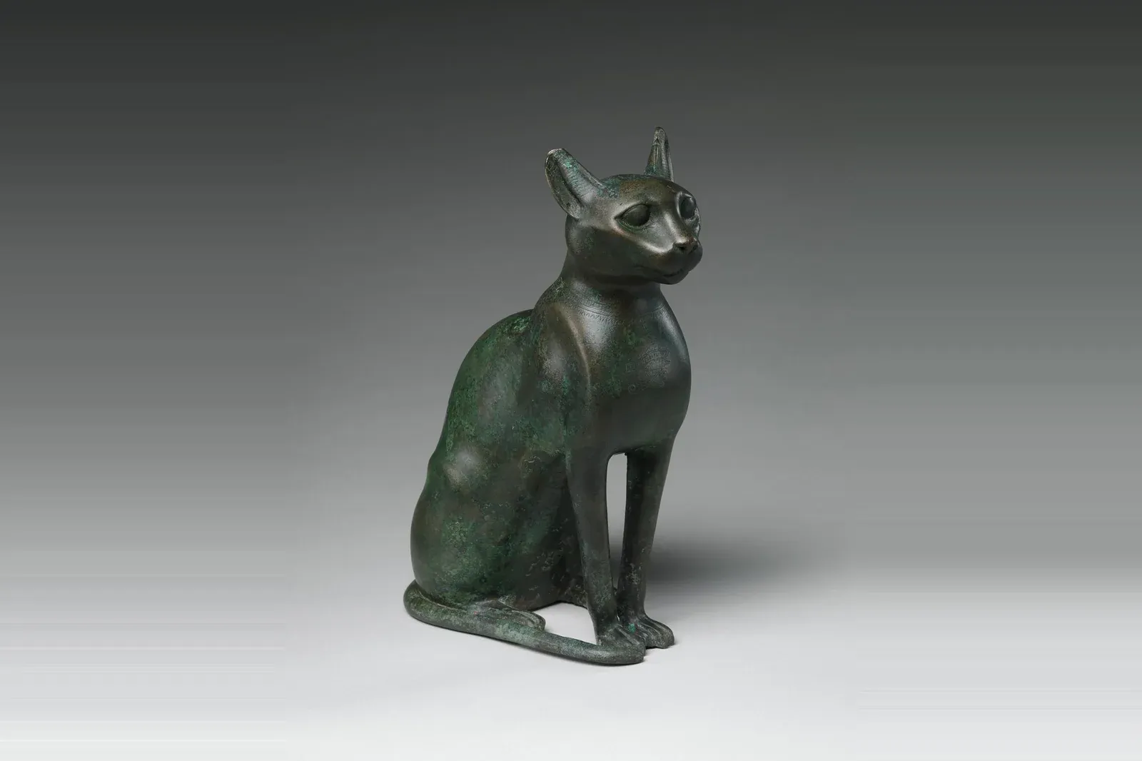 Domestic Shorthair history, a bronze statuette of a seated cat, Egypt, 332 to 30 BCE