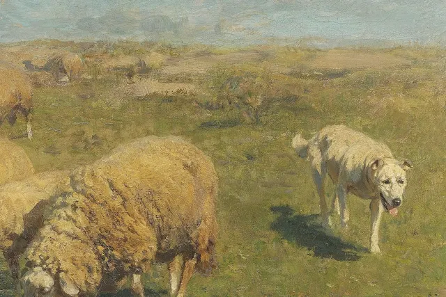 German Shepherd Dog history, a painting of a herding dog with grazing sheep, Heinrich von Zügel, around 1911