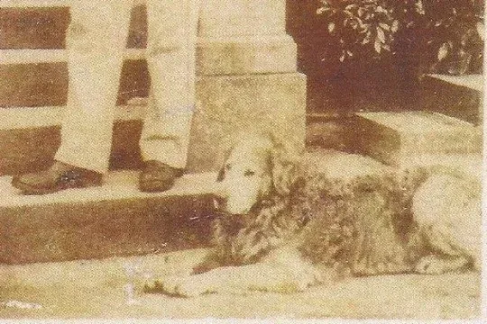 Goldendoodle history, Nous lying on the steps by a gamekeeper's feet, Guisachan, around the 1870s