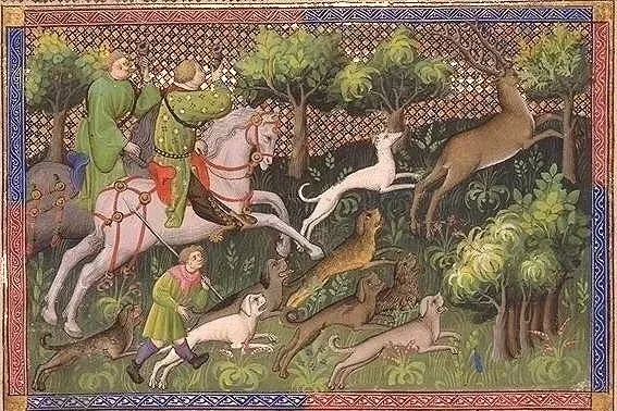 Greyhound history, a white hound leaping beside a mounted hunter after a stag, hunting manuscript, Europe, about 1450