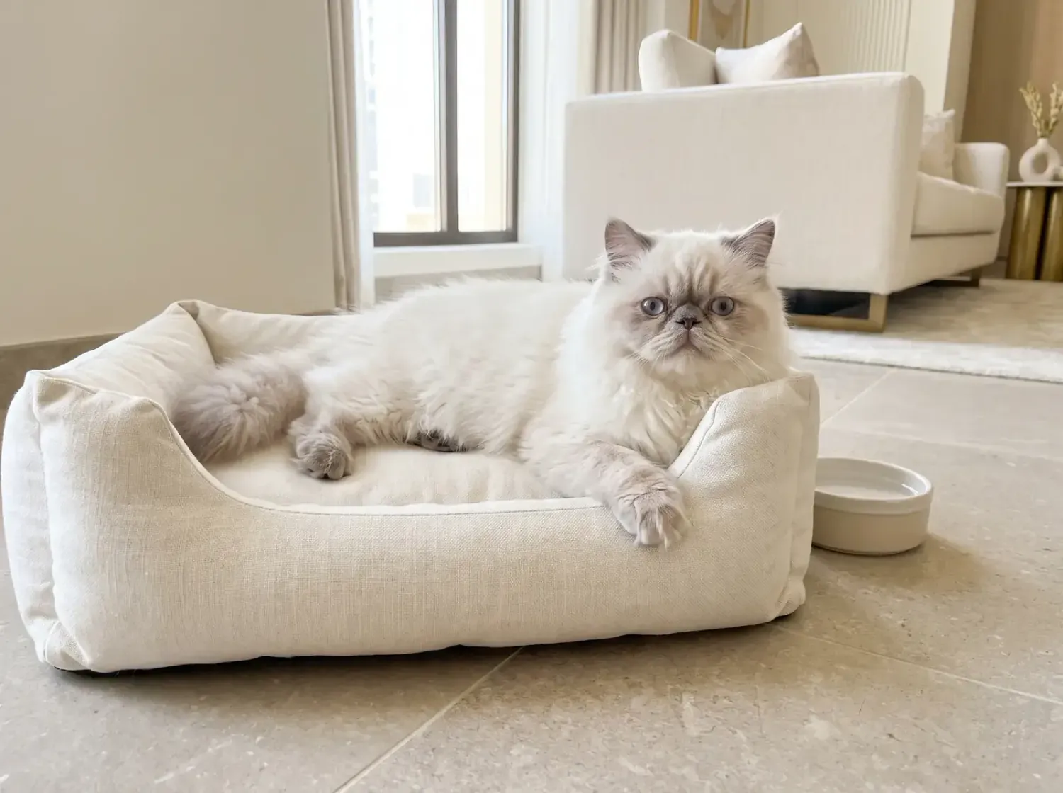 Himalayan in Dubai, a young lilac point cat in a linen cat bed on cool tiles, a water dish beside it