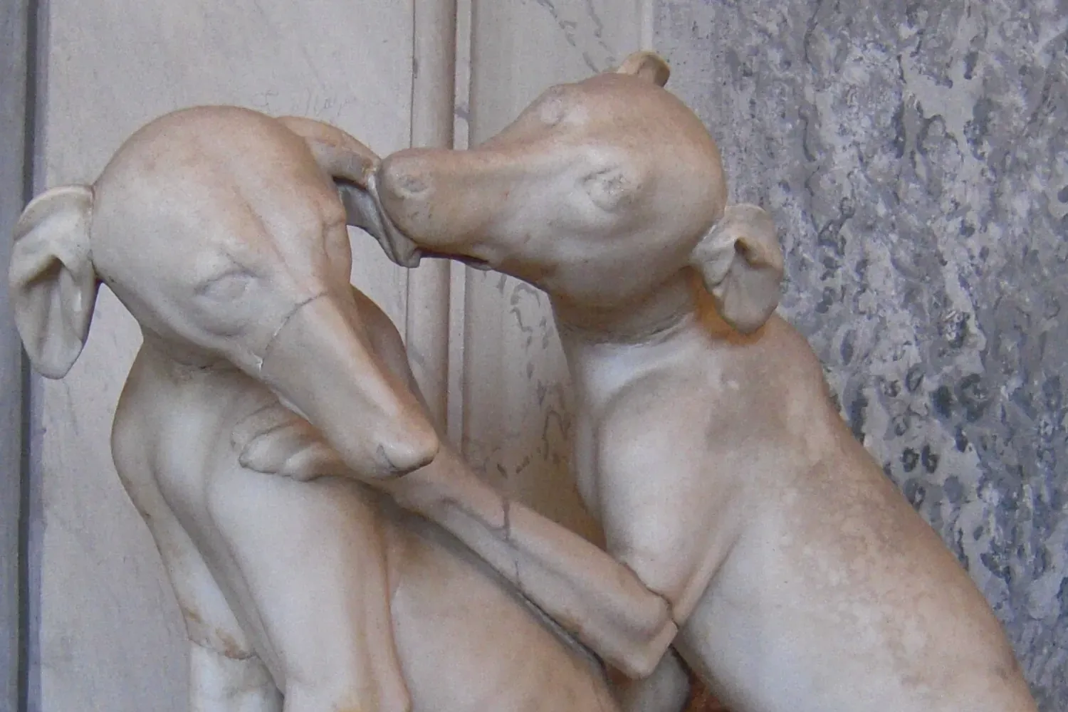 Italian Greyhound history, two sighthounds playing, a Roman marble from Lanuvio, Italy, 2nd century AD