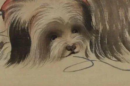 Japanese Chin history, a long-coated lap dog with a red ribbon, painted by Mori Sosen, Japan, around 1800