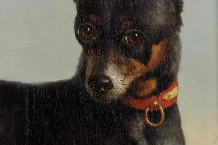 Miniature Pinscher history, a black and tan pinscher with a red collar, painted by Leopold De Cauwer, before 1891