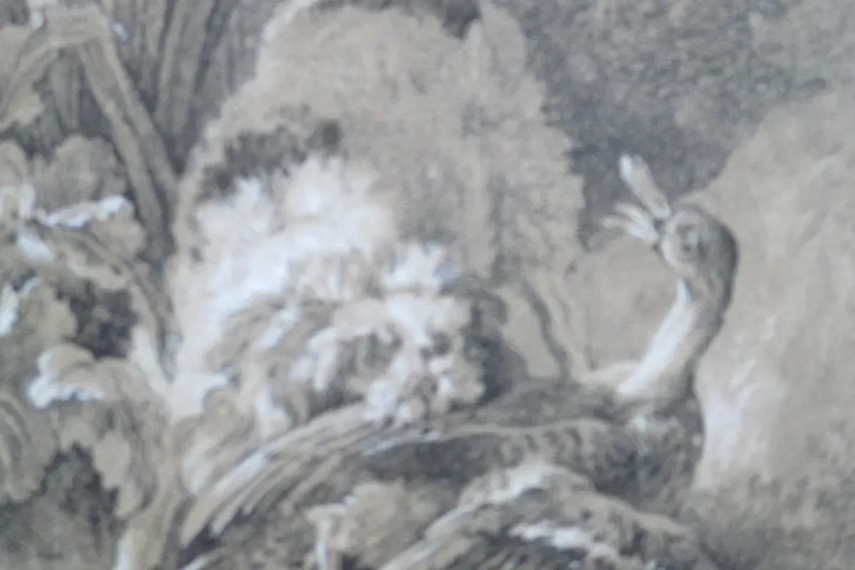 Miniature Poodle history, a chalk drawing of a barbet, the old curly water dog, with a duck among reeds, 1726