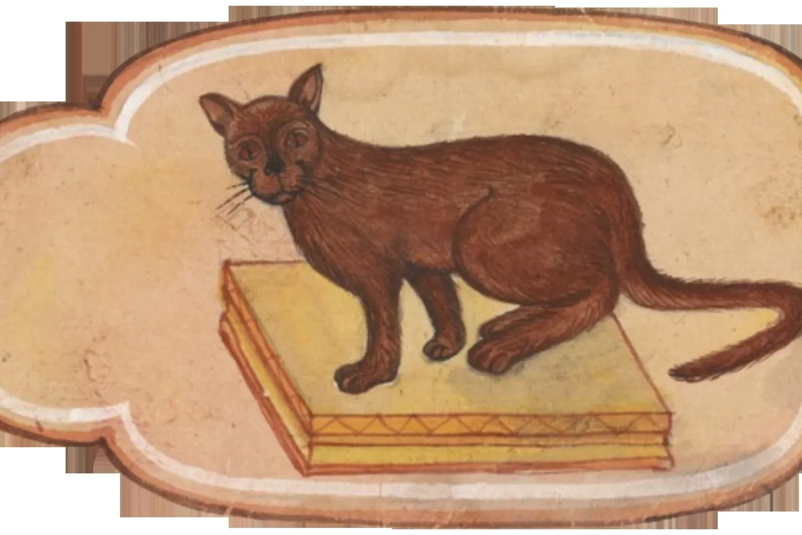 Oriental Shorthair history, a solid brown cat painted in the Thai cat-book poems, Siam