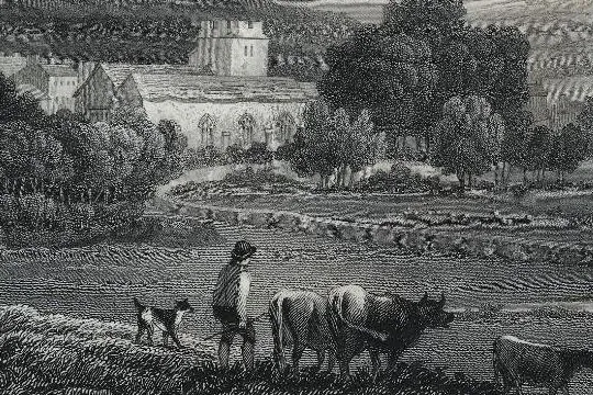 Pembroke Welsh Corgi history, an engraving of a man and dog driving cattle, Cowbridge, Wales, about 1830