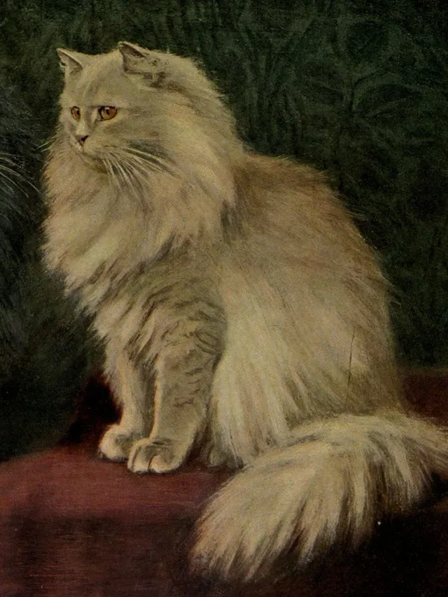 Persian history, a cream long-haired cat on a red cushion, a painting from The Book of the Cat, London, 1903