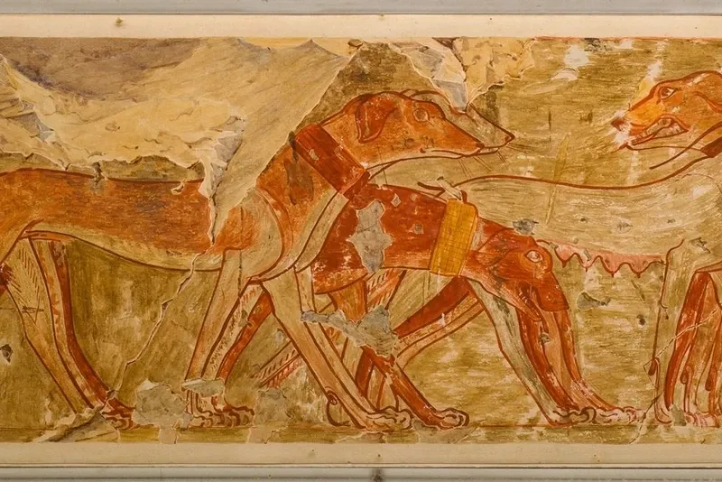Pharaoh Hound history, long-legged hounds with upright ears painted in the tomb of Rekhmire, Thebes, Egypt, about 1450 BC