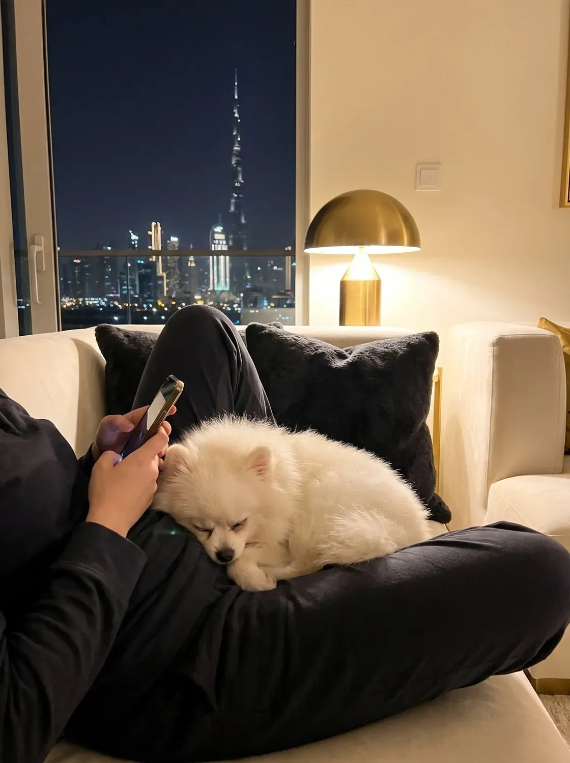 Pomeranian in Dubai, a white adult asleep on a pet parent's lap at night, Burj Khalifa behind