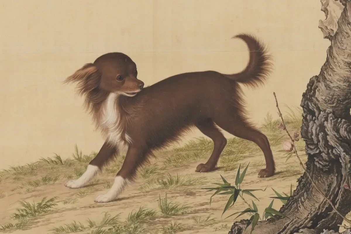 Pug history, a small lap dog under a flowering tree, painted for the Qing court in China, around 1727