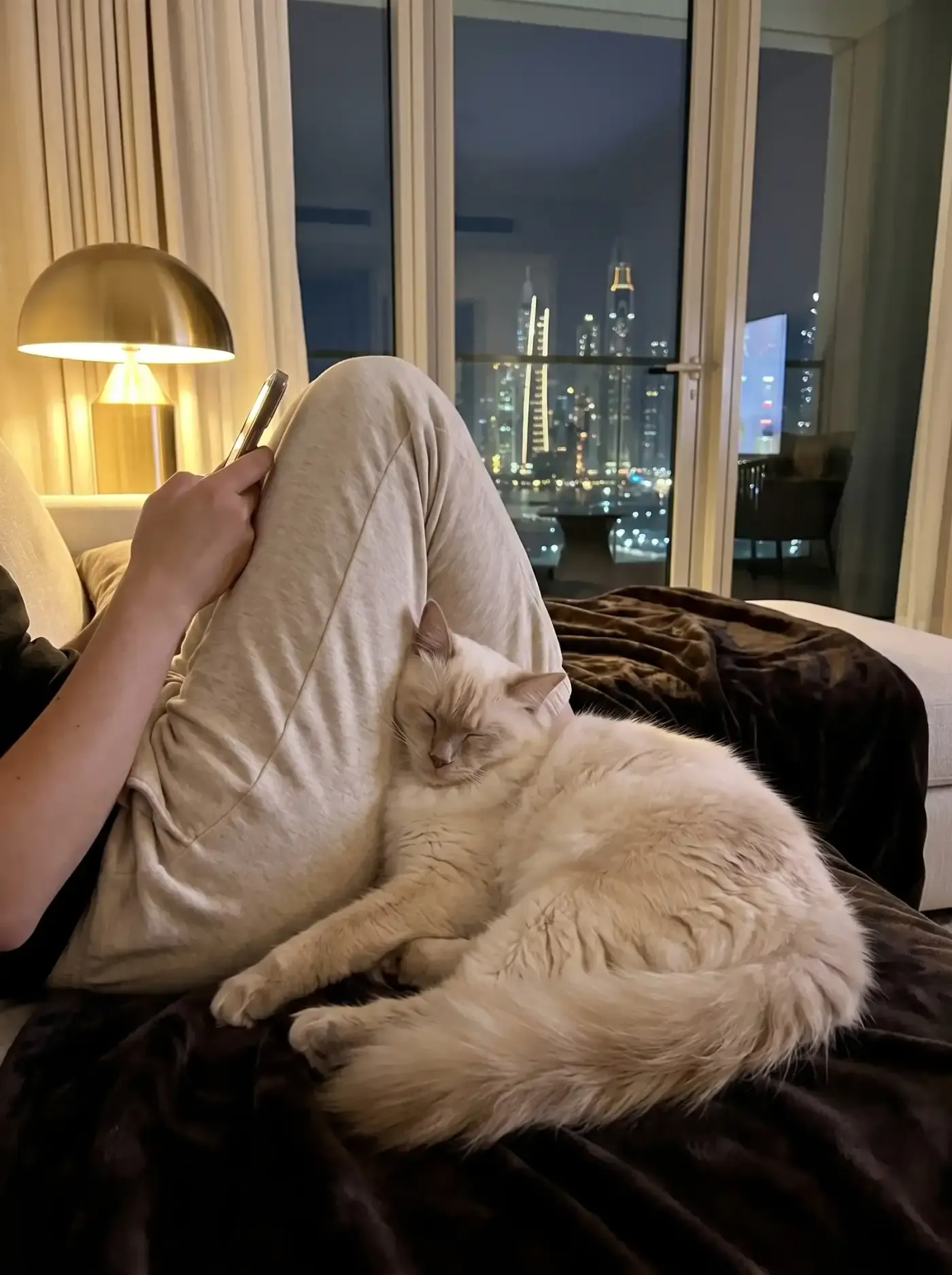 Ragdoll in Dubai, a cream point cat asleep against a knee on a dark sofa at night, the skyline behind