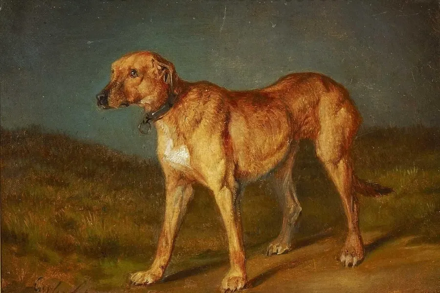 Rhodesian Ridgeback history, a wheaten hound standing in an oil painting by Carl Friedrich Schulz, Germany, 19th century