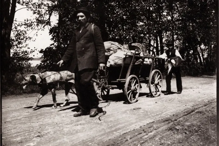 Rottweiler history, a cart dog of the breed's type pulling a hawker's cart on a country road, Germany, around 1900