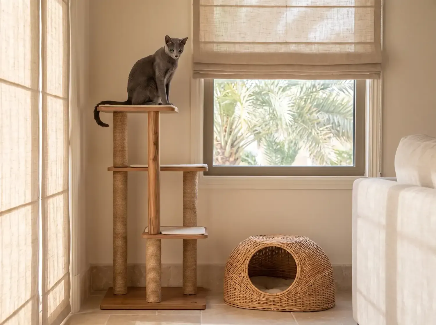 Russian Blue in Dubai, a slate blue cat on top of a cat tree beside a covered bed, palms outside