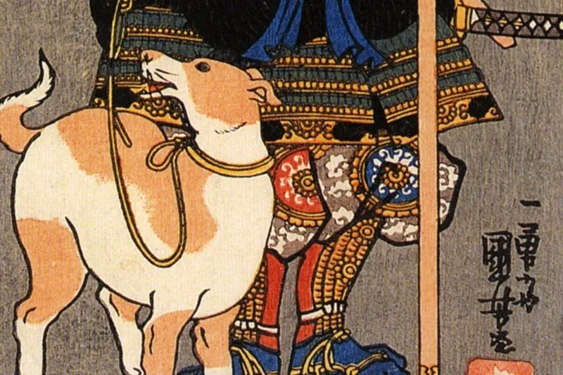 Shiba Inu history, a woodblock print of a pale hunting dog at a warrior's feet, by Utagawa Kuniyoshi, about 1840