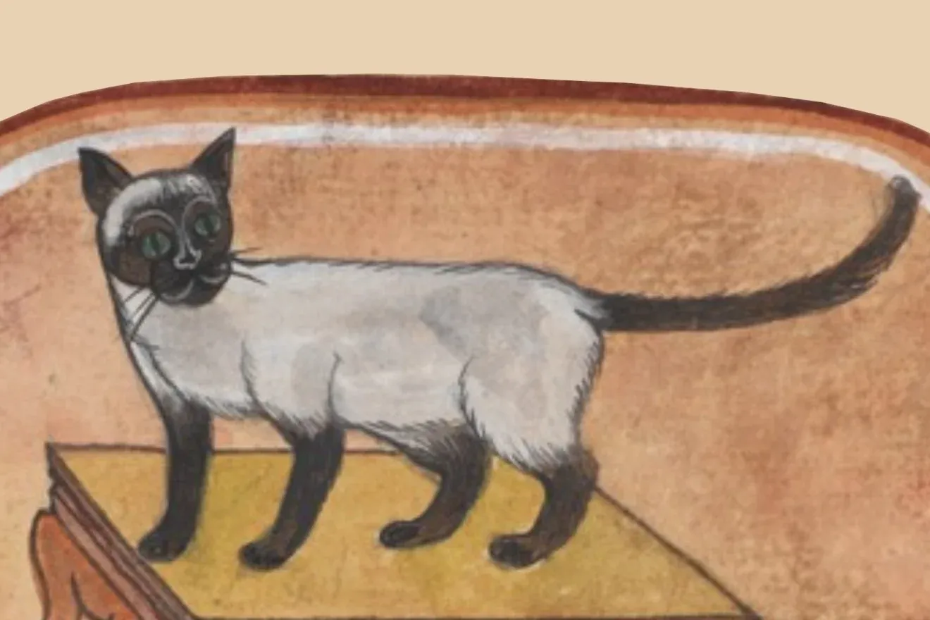 Siamese history, a pale cat with dark points from a Thai Treatise on Cats manuscript, Siam, 1800 to 1870