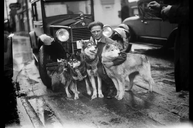 Siberian Husky history, Leonhard Seppala kneeling by a car with three sled dogs, Seattle, 1927