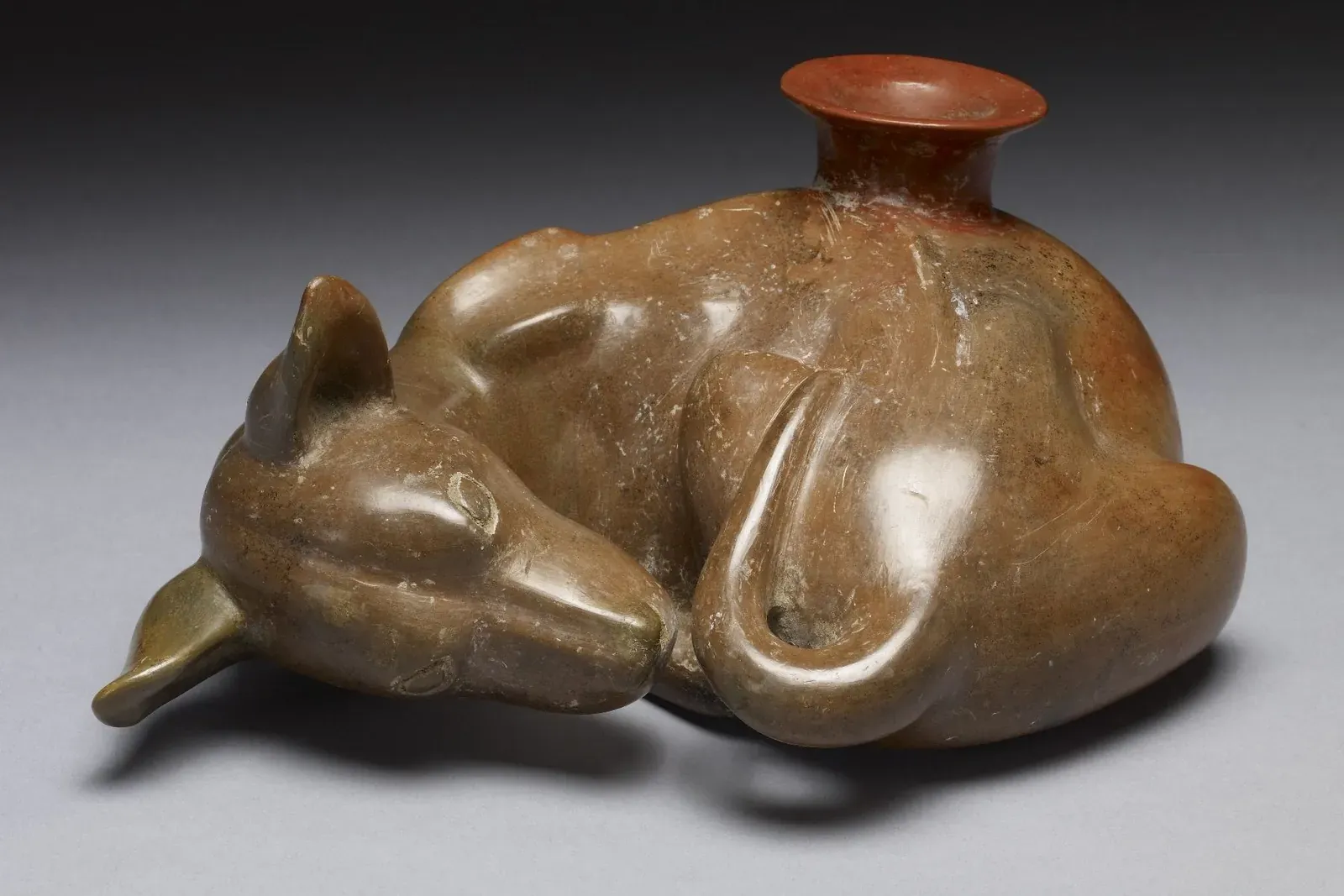 Teacup Chihuahua history, a Colima clay vessel shaped as a curled sleeping dog, West Mexico, 100 BC to AD 300