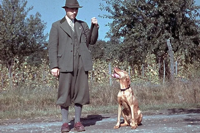 Vizsla history, a dog sitting beside a hunter by a fence, Ócsa, Hungary, 1940