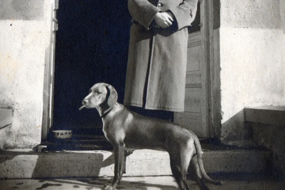 Vizsla history, a dog standing on a doorstep beside a man in a long uniform coat, 1937