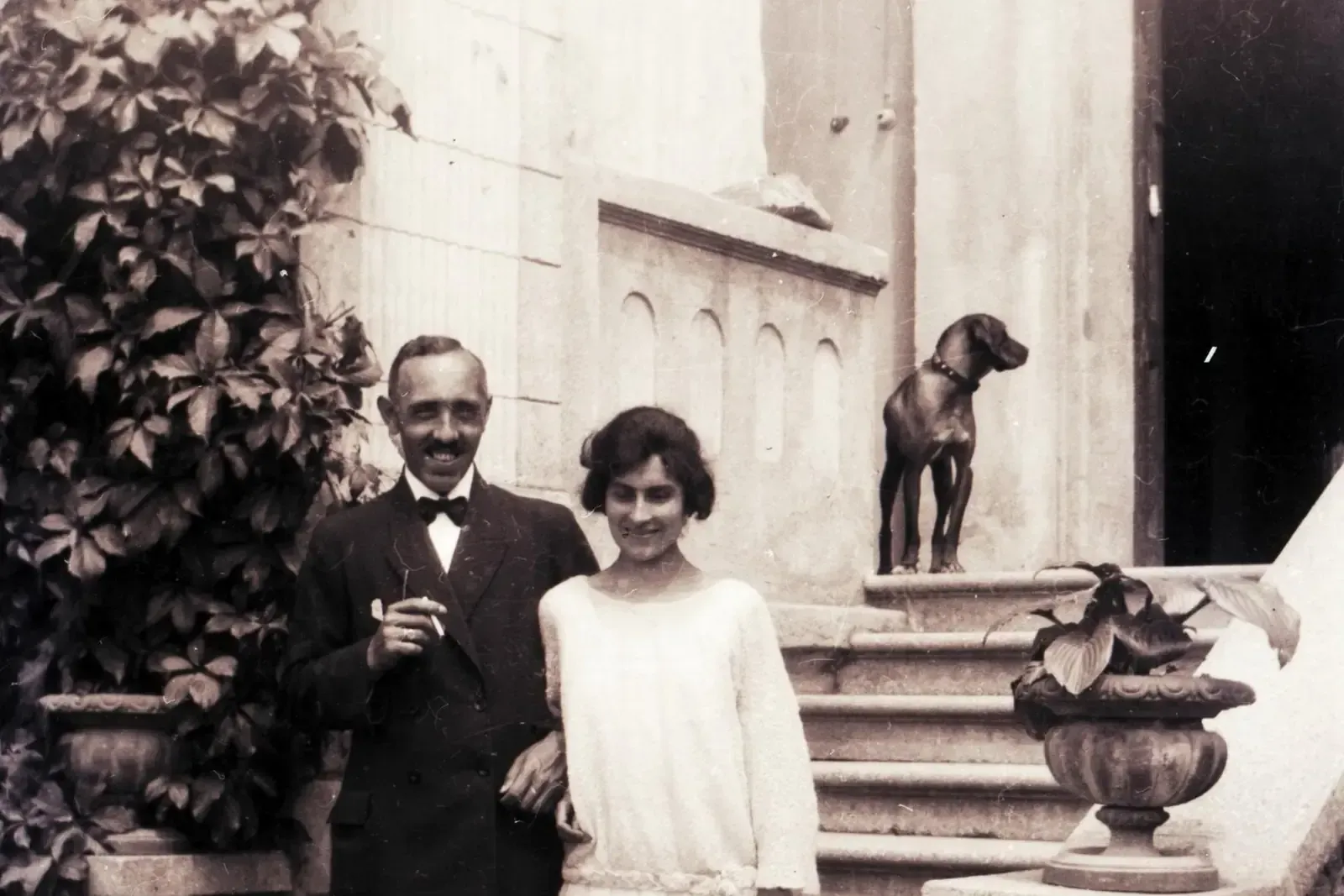Vizsla history, a dog standing on the steps of a house above a couple, 1923
